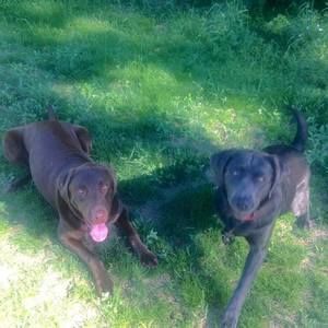 Meet your Posher, Rhonda